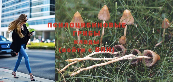 герыч Покровск