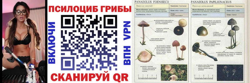 Псилоцибиновые грибы ЛСД  Сосновка 