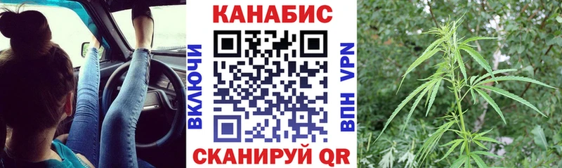Канабис индика  Сосновка 
